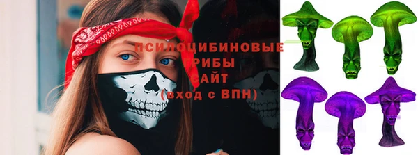 спиды Алзамай