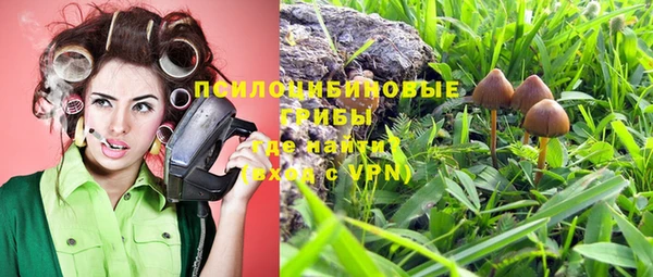 спиды Алзамай