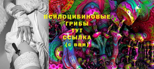 спиды Алзамай