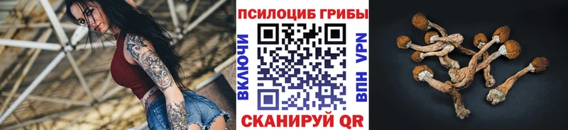 Галлюциногенные грибы Psilocybine cubensis  где купить наркоту  мега ТОР  Оса 